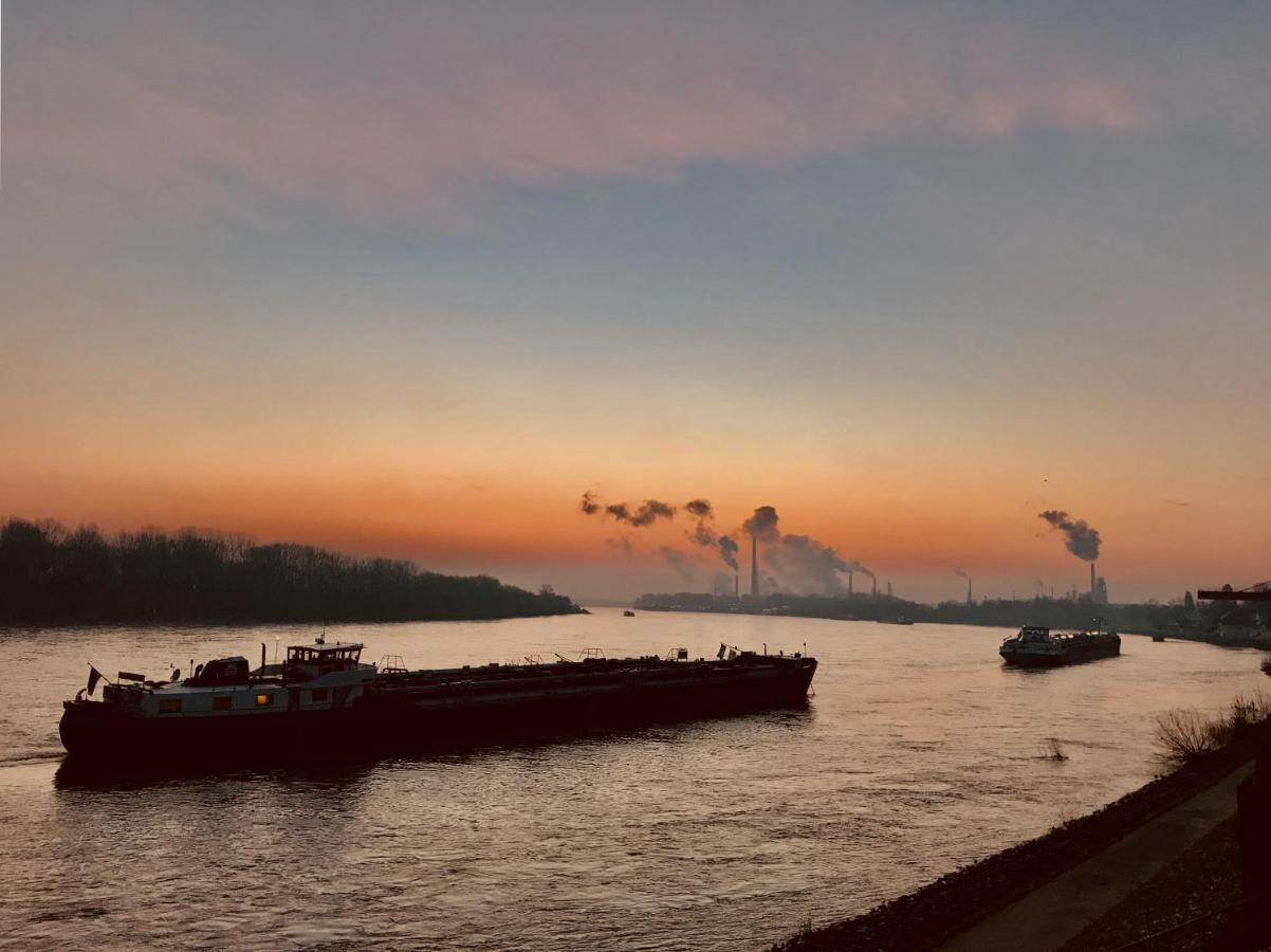 Hotel Am Rhein Wesseling Luaran gambar